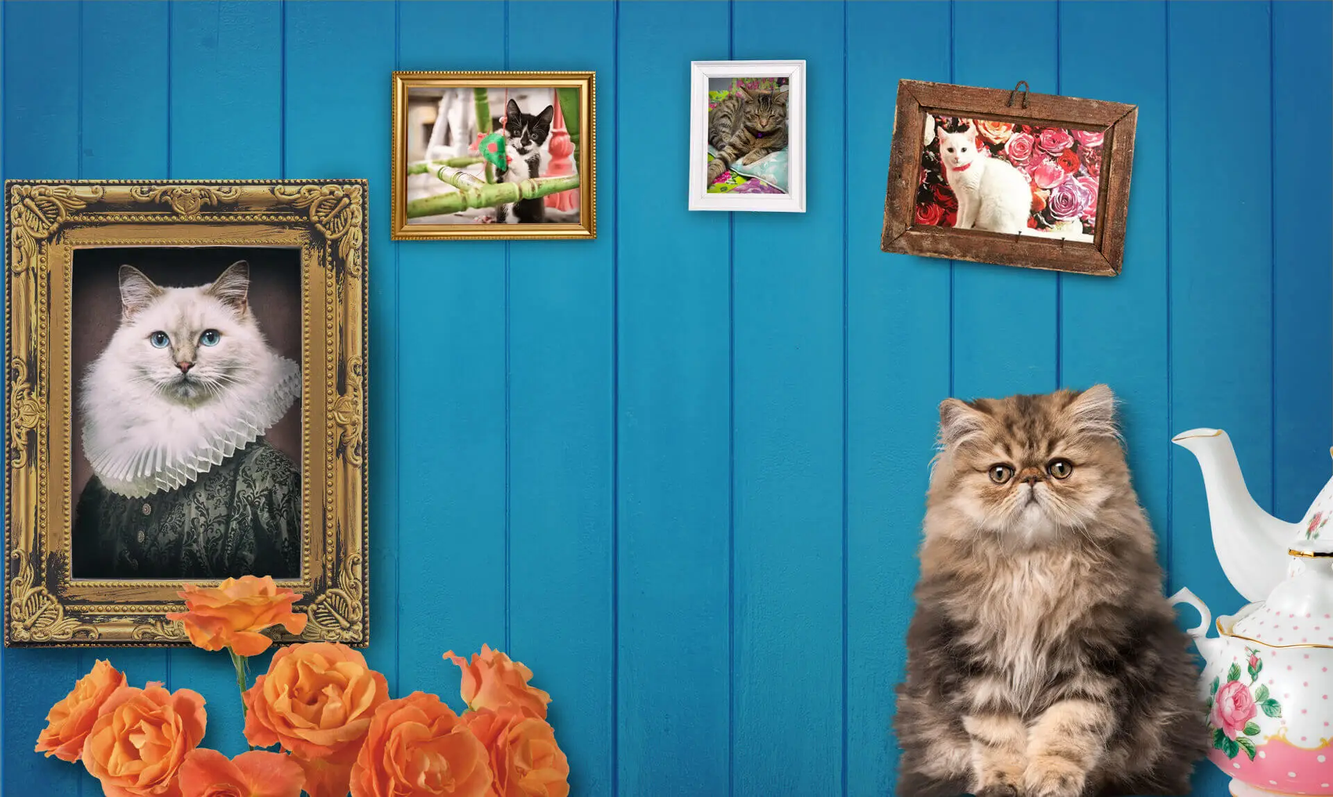 Shakespaw Cat Cafe Header