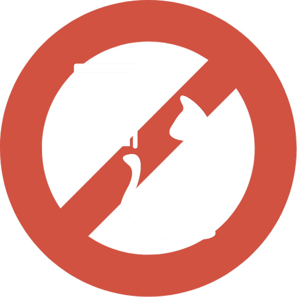 NO outside cats