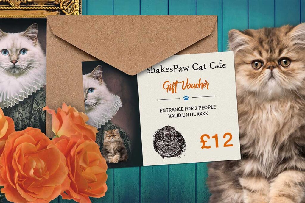 Twelve Pounds Shakespaw Cat Cafe Voucher