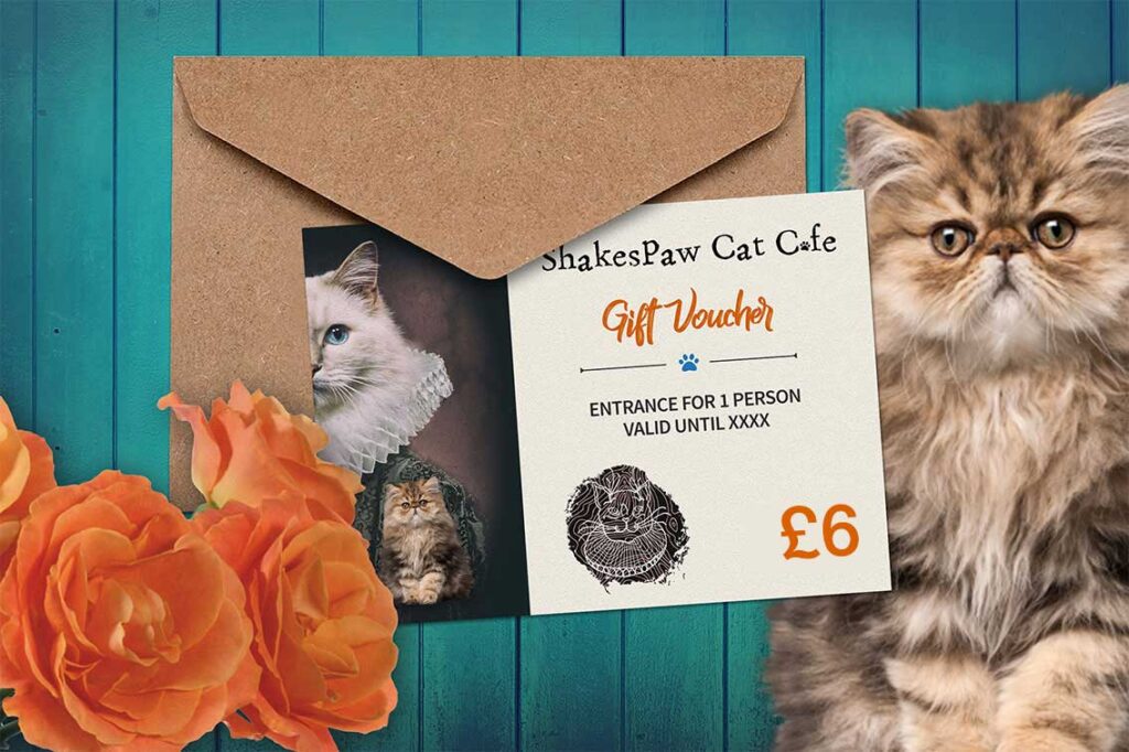Six Pounds Shakespaw Cat Cafe Voucher
